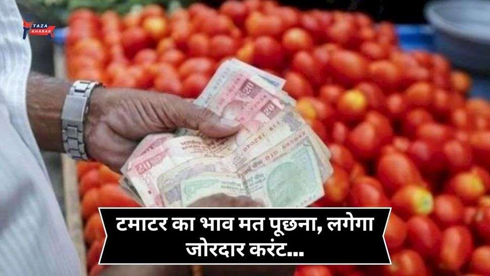 Tomato Price Hike: टमाटर का भाव मत पूछना, लगेगा जोरदार करंट... जानिए दाम बढ़ने की क्या है असली वजह?