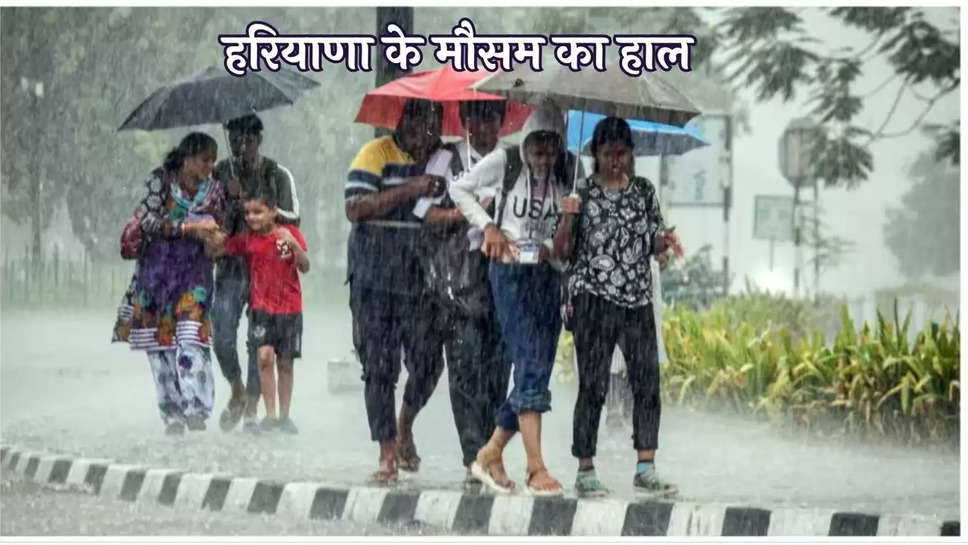 Haryana Weather 